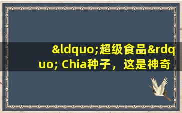 “超级食品” Chia种子，这是神奇的吗？